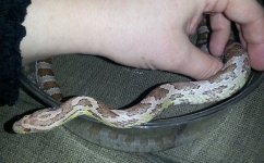 20130403_171008.jpg