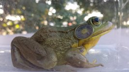 20130903_182404 (800x450).jpg