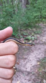 20130906_120035 (450x800).jpg