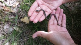 20130906_122101 (800x450).jpg