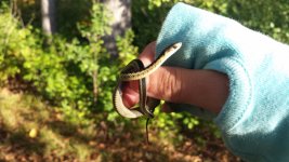 20130916_181202 (800x450).jpg