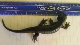 20130913_151407 (800x450).jpg