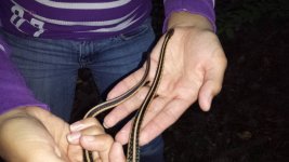 20130929_180129 (800x450).jpg