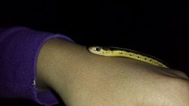 20130929_180149 (800x450).jpg