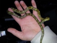 2014-03-05 14.17.47.jpg