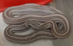 205841_467418_VeryLarge_eqkOyo5Np20uwDr.jpg