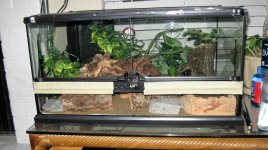 IMG_0785.JPG