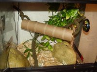 Spur's tank.JPG