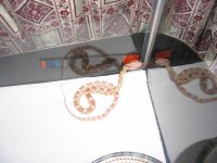 IMG_0638.JPG