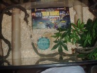IMAG0228.JPG