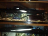 IMAG0230.JPG