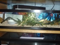 IMAG0231.JPG