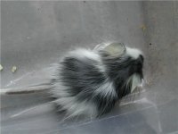 DSCN7875.JPG