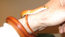 IMG_0789.JPG