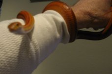 IMG_0787.JPG