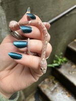 snake-2.jpg snake-2.jpg