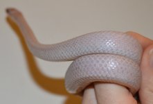 closeup1.jpg