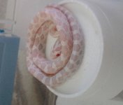20161008_003731.jpg