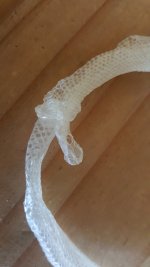 20161013_121945_2.jpg