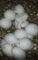 2014-07-27 09.24.25.png