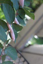 IMG_0566.JPG