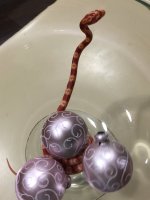 rsz_img_1668.jpg