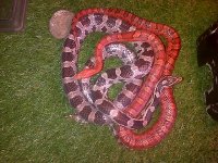 IMG-20130913-01892.jpg