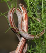 IMG_8595.JPG