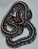 Image00004.jpg