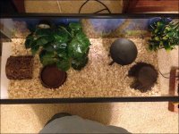 2013-10-24 17.56.39.jpg