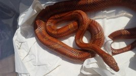20160412_132955.jpg