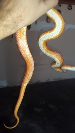 20160412_133029.jpg