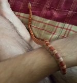 20150810_114638.jpg