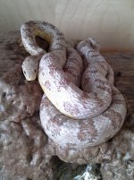 coil small.jpg