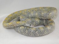 DSCF1293.JPG