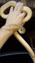 20160227_153158.jpg