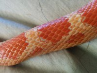 IMG_20160419_175947.jpg
