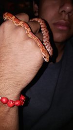 20150814_224858.jpg