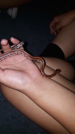 20150814_224844.jpg