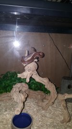 20150816_002902.jpg