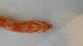 20160424_105357.jpg