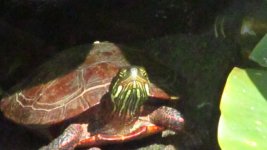 IMG_2228.JPG
