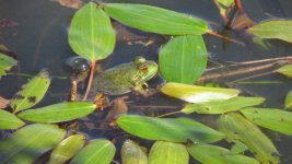 IMG_2232.JPG