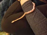 20161030_203703.jpg