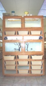 new-rack.jpg