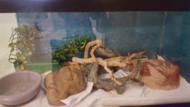 20160430_183537.jpg