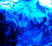 _20160502_070100.JPG
