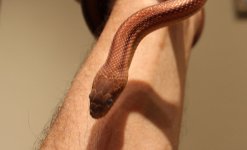 IMG_0066.JPG