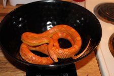 IMG_2862.JPG