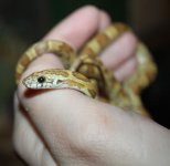 IMG_3649.JPG